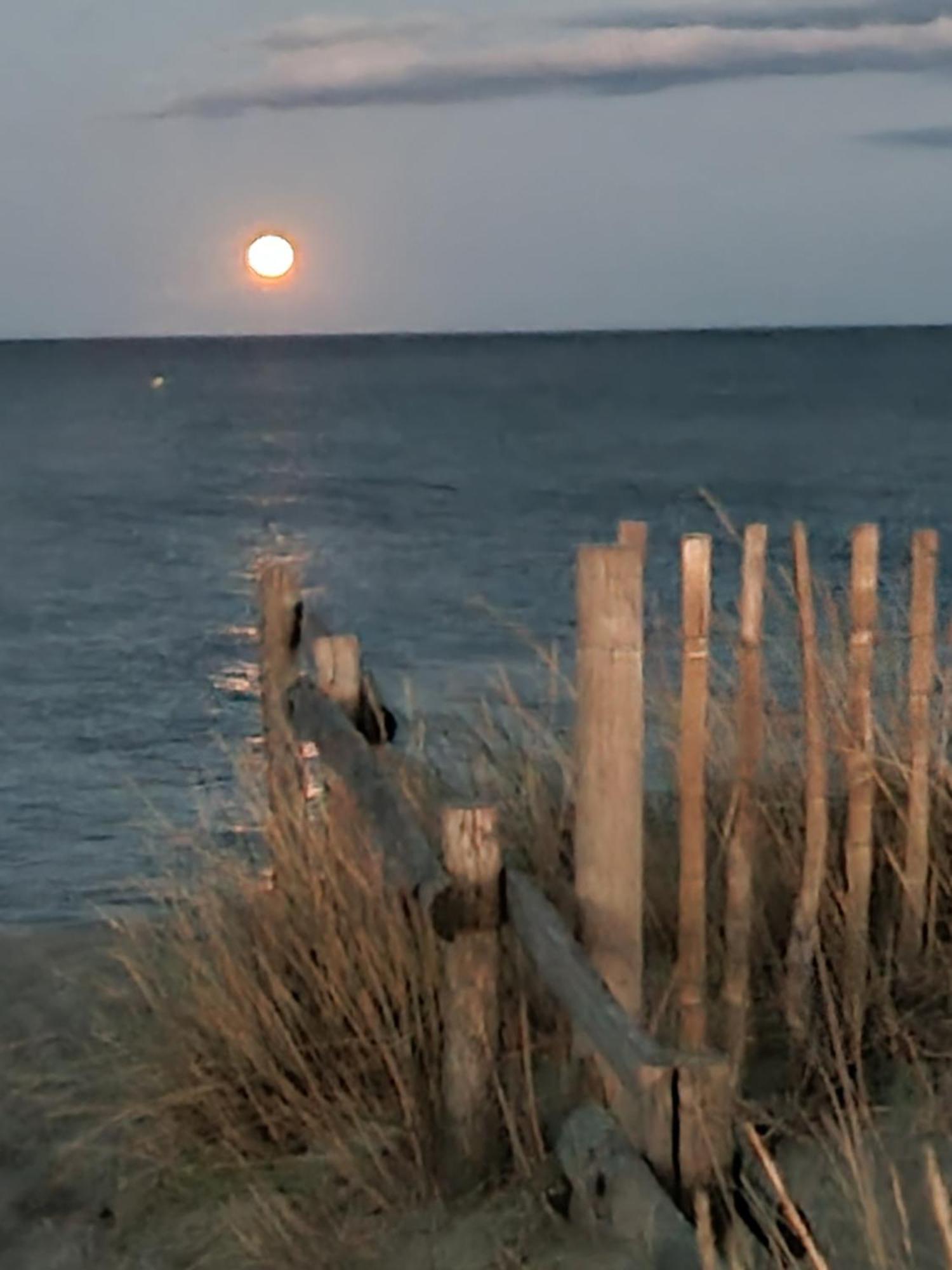 Torreilles Plage: Villa Atypique Bord De Mer Mediterranee Εξωτερικό φωτογραφία